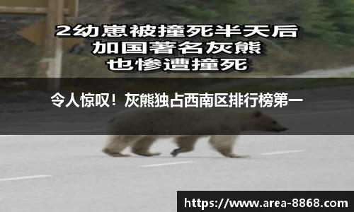 令人惊叹!灰熊独占西南区排行榜第一