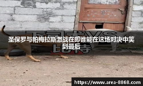 圣保罗与帕梅拉斯激战在即谁能在这场对决中笑到最后