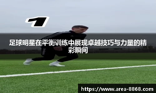 8868体育网页版APP